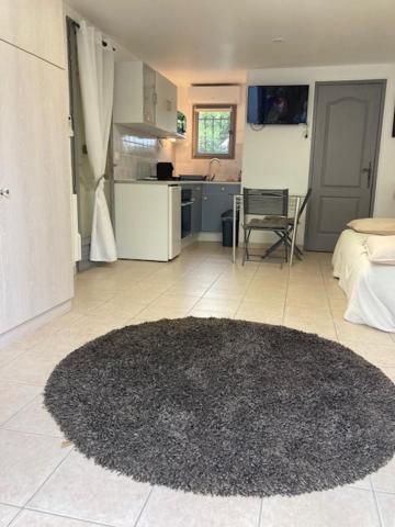 Studio Pied Dans L Eau La Londe-les-Maures Esterno foto